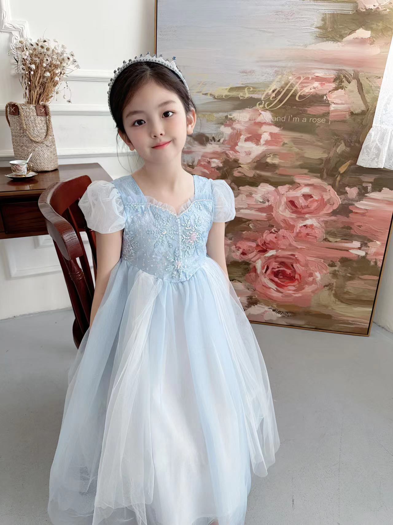 Vestido bordado de Elsa para n - Baby Clothing Dresser reseña y precio