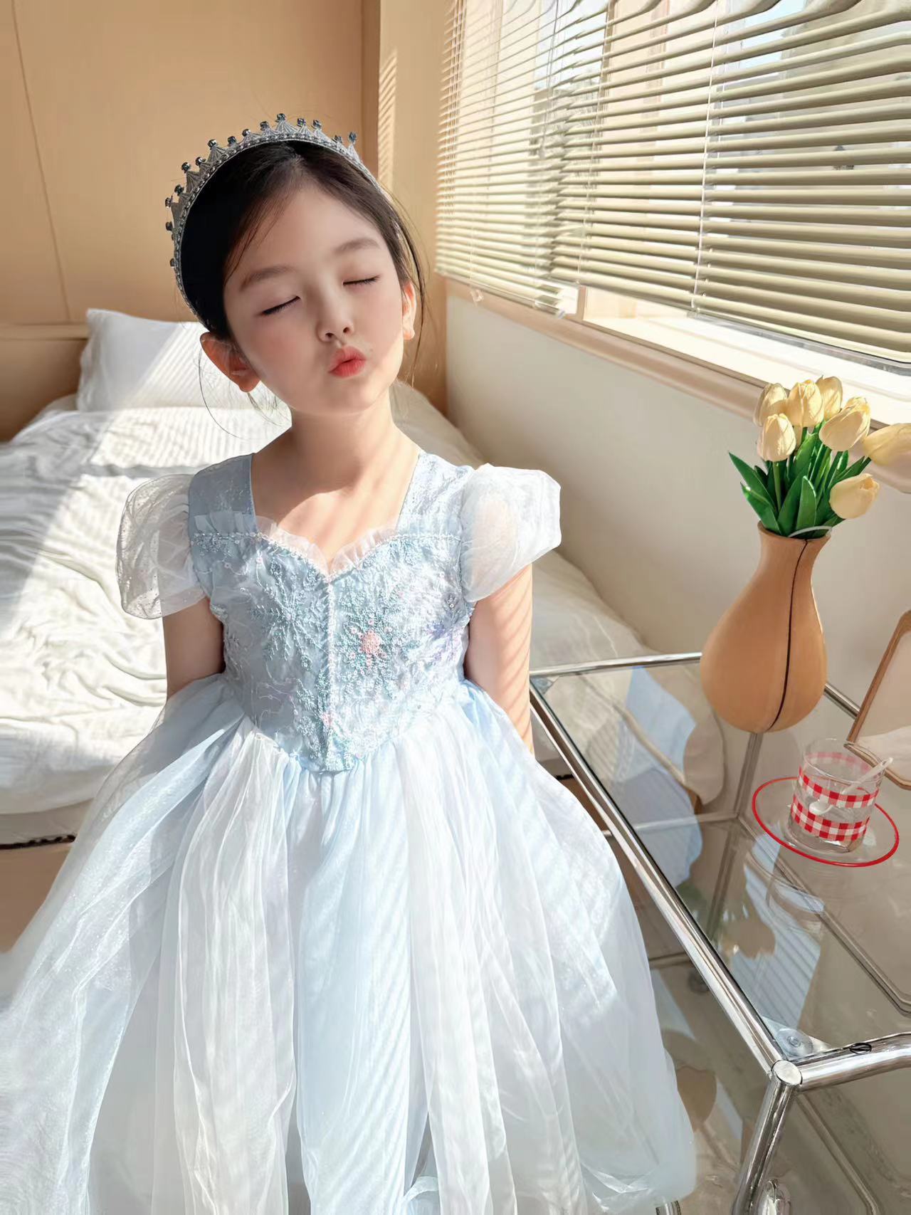 Vestido bordado de Elsa para n - Baby Clothing Dresser reseña y precio